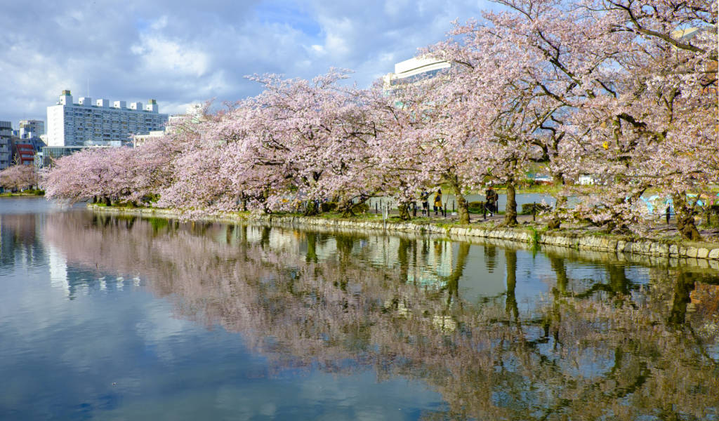 Ueno park